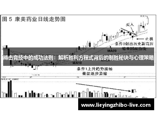 搏击竞技中的成功法则：解析胜利方程式背后的制胜秘诀与心理策略